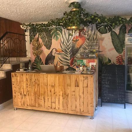 Hostal Casa Paraiso Medellín Eksteriør bilde
