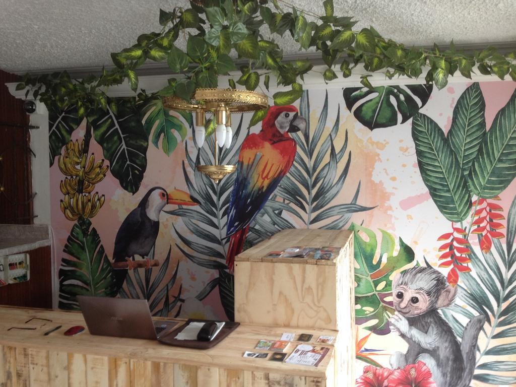 Hostal Casa Paraiso Medellín Eksteriør bilde